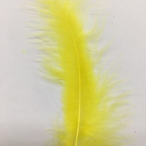 PLUMAS